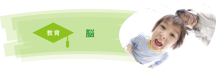 教育 脳